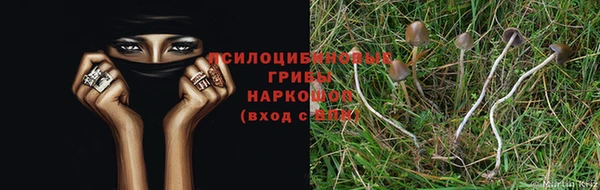 метамфетамин Аркадак