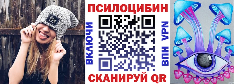 закладки  Сальск  Галлюциногенные грибы мицелий 