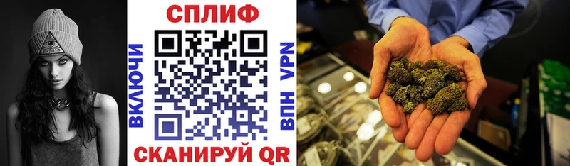 продажа наркотиков  Сальск  мега маркетплейс  Бошки марихуана тримм 